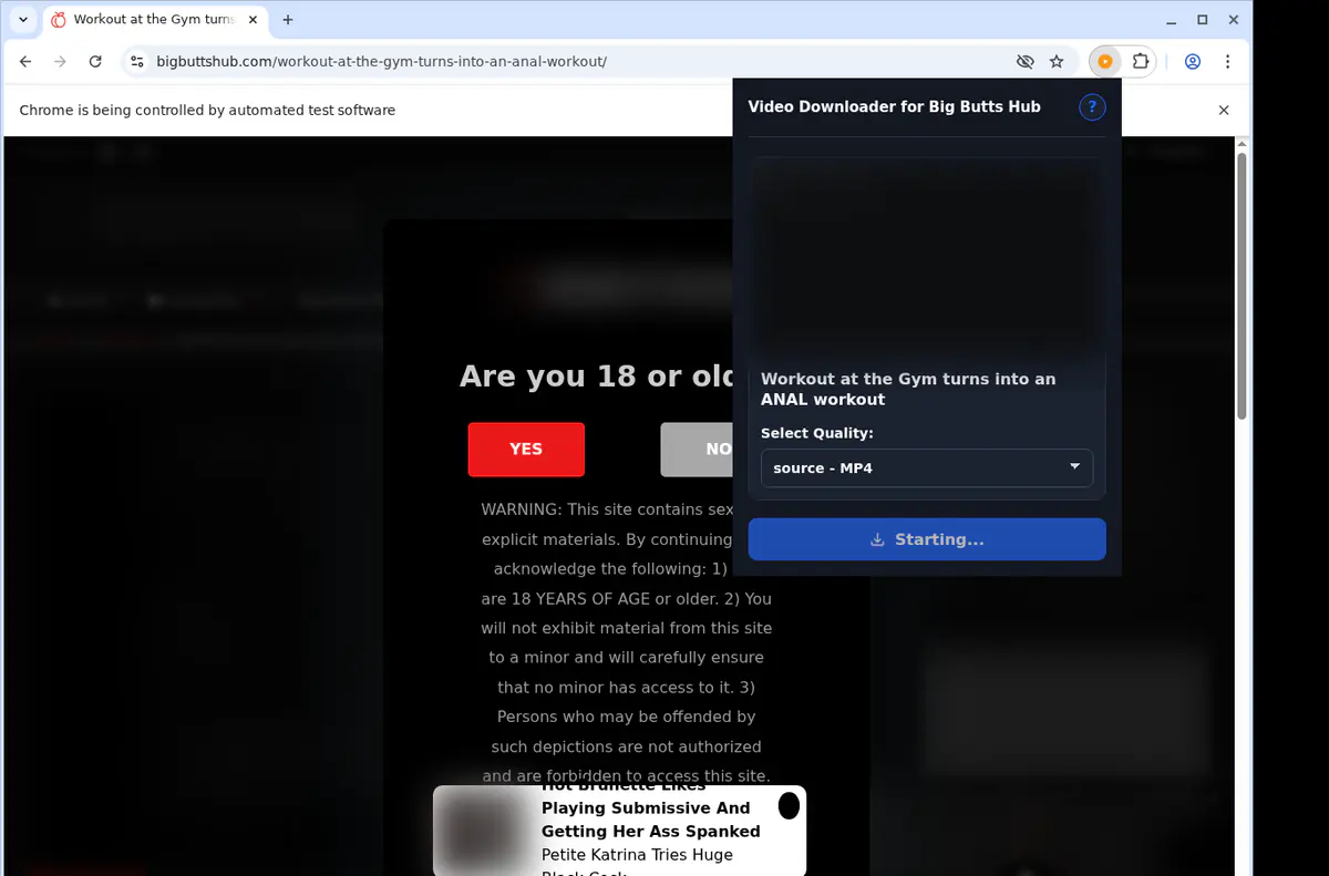 Bigbuttshub Video Downloader screenshot 2