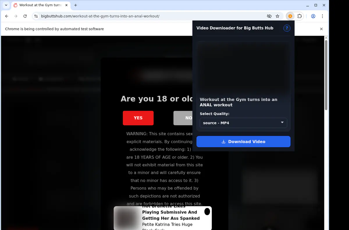 Bigbuttshub Video Downloader screenshot 3