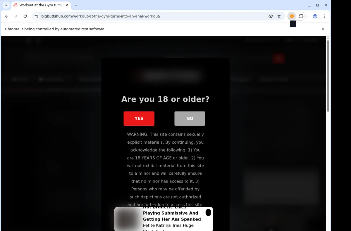Bigbuttshub Video Downloader screenshot 5